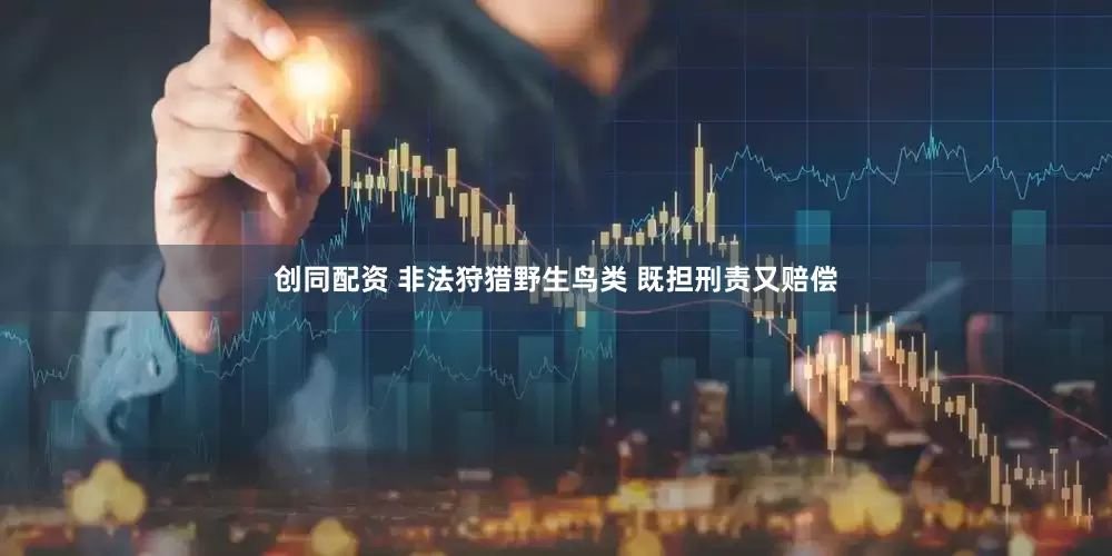 创同配资 非法狩猎野生鸟类 既担刑责又赔偿